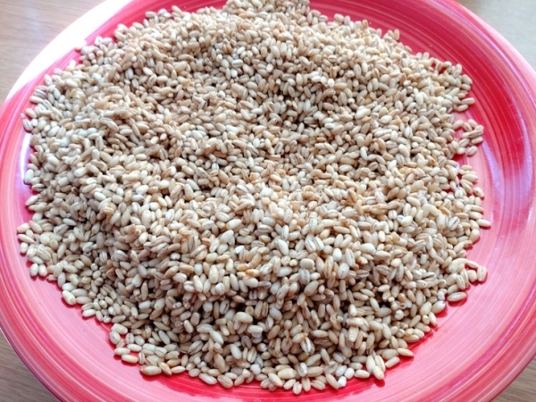 Перловка с овощами и грибами