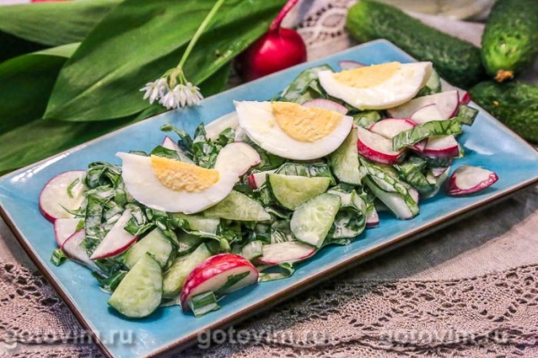 Овощной салат с редиской, огурцами и черемшой Овощной салат с редиской, огурцами и черемшой