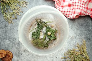 Засолка волнушек горячим способом Засолка волнушек горячим способом