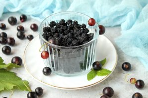 Черная смородина в сушилке на зиму Черная смородина в сушилке на зиму