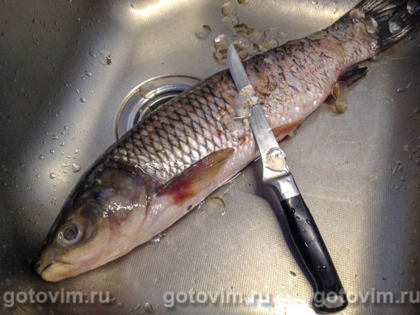 Белый амур, запеченный с творожным сыром в фольге