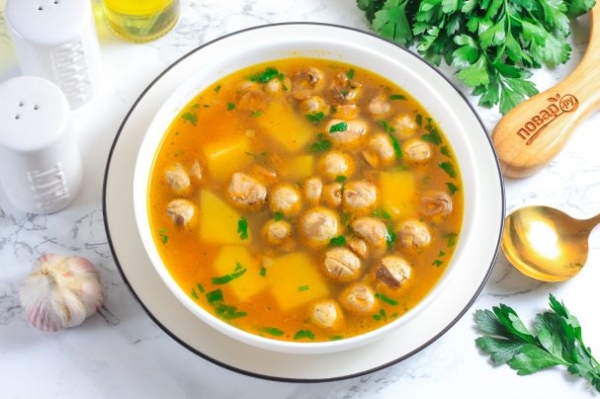 Грибовница из замороженных грибов Грибовница из замороженных грибов