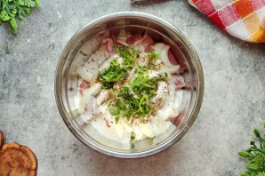 Шашлык на шпажках