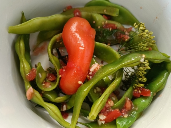 Турша (квашеная спаржевая фасоль) Турша (квашеная спаржевая фасоль)