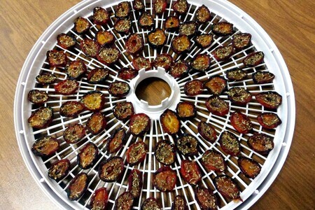 Вяленые сливы в электросушилке