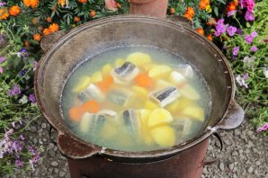 Уха из стерляди на костре