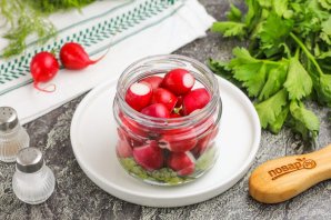 Маринованная редиска с ботвой на зиму Маринованная редиска с ботвой на зиму