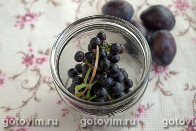 Компот из сливы с виноградом Компот из сливы с виноградом