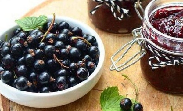 Джем из черной смородины с крыжовником через мясорубку Джем из черной смородины с крыжовником через мясорубку
