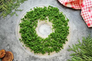 Сушеные чесночные стрелки на зиму Сушеные чесночные стрелки на зиму