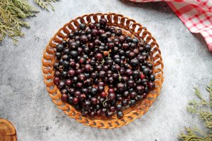 Черная смородина в сушилке на зиму Черная смородина в сушилке на зиму