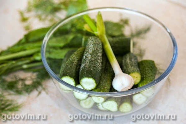 Малосольные огурцы с горчицей и кориандром