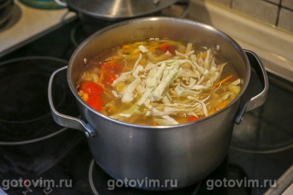 Щи с мясом и солеными грибами