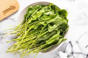 Щавель консервированный Щавель консервированный