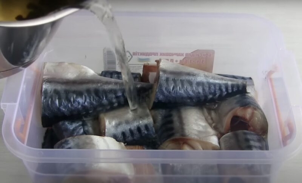 Малосольная скумбрия в домашних условиях. Как быстро и вкусно засолить скумбрию дома: простой рецепт