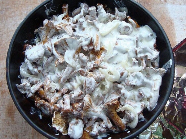 Запечённые лисички в сметане Запечённые лисички в сметане