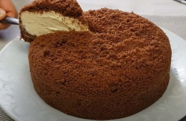 Сметанник из печенья со сгущенным молоком Сметанник из печенья со сгущенным молоком