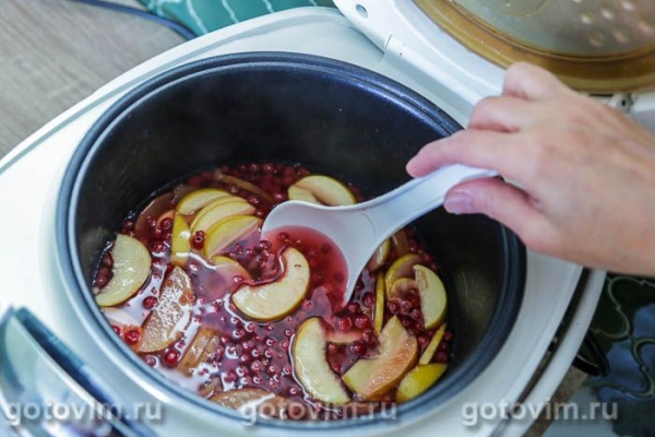 Компот из красной смородины с яблоками в мультиварке Компот из красной смородины с яблоками в мультиварке