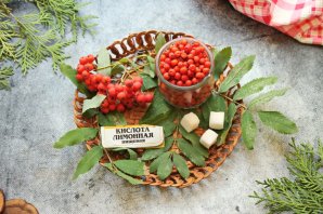 Джем из красной рябины Джем из красной рябины