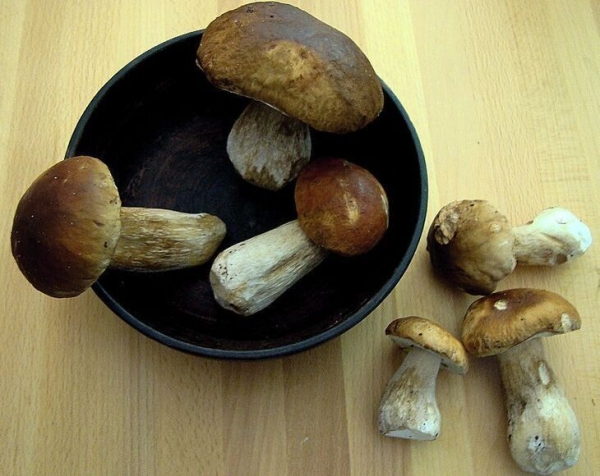 Суп с белыми грибами "бабулин"