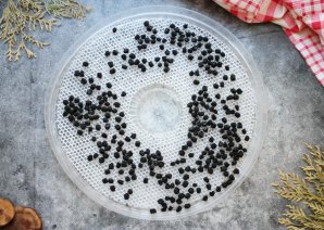 Черноплодная рябина вяленая Черноплодная рябина вяленая