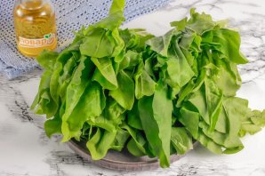 Заморозка щавеля на зиму Заморозка щавеля на зиму