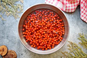 Джем из красной рябины Джем из красной рябины