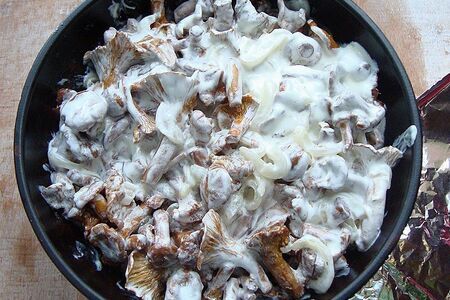 Запечённые лисички в сметане Запечённые лисички в сметане