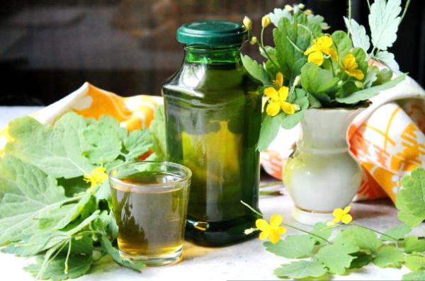 Настойка чистотела на спирту Настойка чистотела на спирту