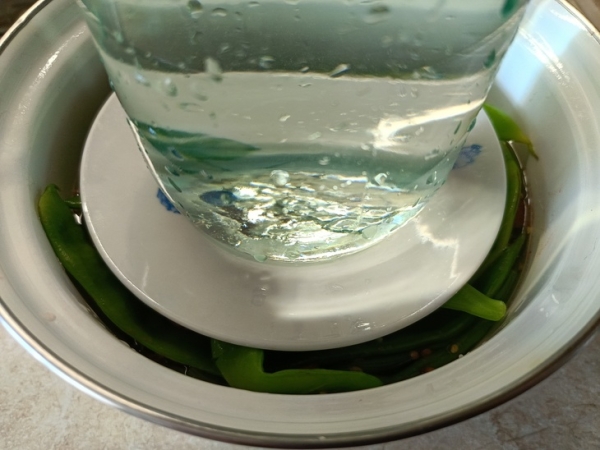 Турша (квашеная спаржевая фасоль) Турша (квашеная спаржевая фасоль)