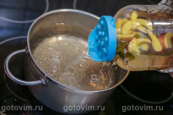 Компот мохито с яблоками, мятой и розовой смородиной