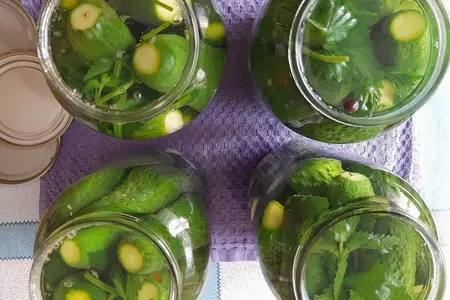 Маринованные огурцы с мятой Маринованные огурцы с мятой