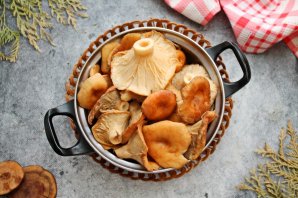 Засолка волнушек горячим способом Засолка волнушек горячим способом