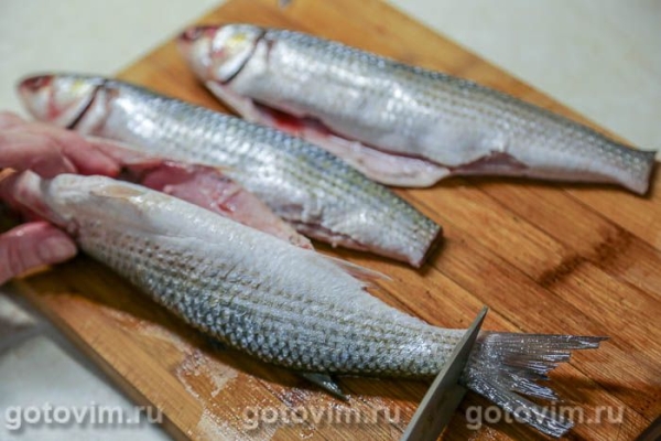 Кефаль, запеченная на подушке из грибов и овощей Кефаль, запеченная на подушке из грибов и овощей