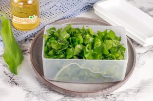 Заморозка щавеля на зиму Заморозка щавеля на зиму