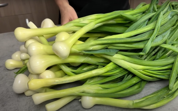 Простая вкусная паста из зеленого лука: хранится до 1 года. Даже не думала, что буду делать такие заготовки на зиму Простая вкусная паста из зеленого лука: хранится до 1 года. Даже не думала, что буду делать такие заготовки на зиму