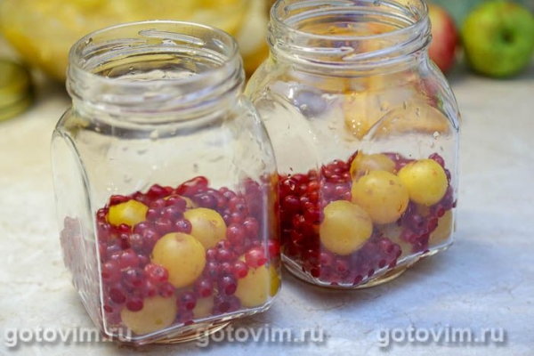 Компот из желтой алычи и красной смородины на зиму Компот из желтой алычи и красной смородины на зиму