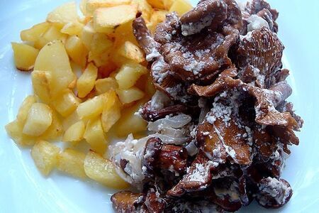 Запечённые лисички в сметане Запечённые лисички в сметане