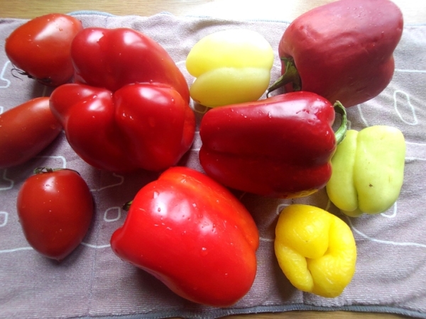 Перцы жареные на зиму Перцы жареные на зиму