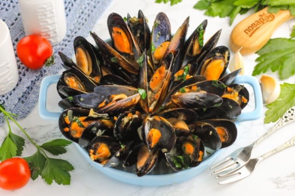 Мидии "Мариньер" Мидии "Мариньер"