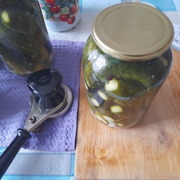 Маринованные огурцы с мятой Маринованные огурцы с мятой