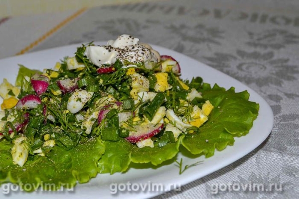 Весенний яичный салат с редиской и зеленью