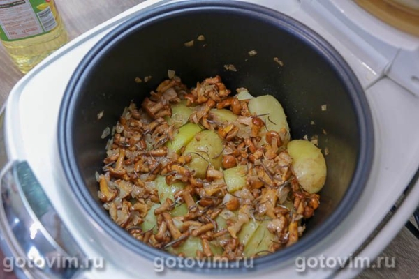 Молодой картофель, жаренный дольками с лисичками в мультиварке Молодой картофель, жаренный дольками с лисичками в мультиварке