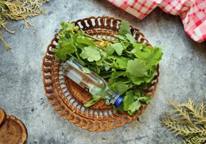 Настойка чистотела на водке Настойка чистотела на водке