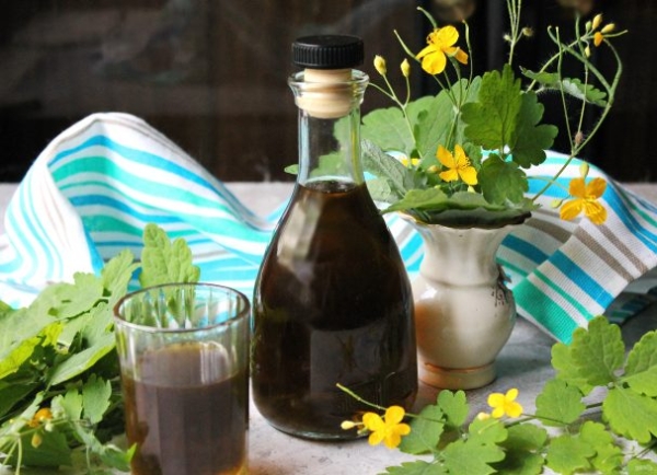 Настойка чистотела на водке Настойка чистотела на водке