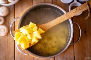 Крупник Крупник