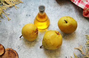 Пастила из груши в сушилке Пастила из груши в сушилке