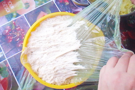 Быстрое дрожжевое тесто на пирожки и не только Быстрое дрожжевое тесто на пирожки и не только