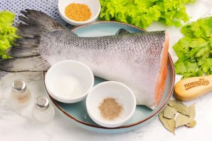 Засолка лосося Засолка лосося