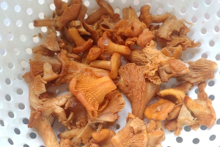 Салат с курицей "пикник" Салат с курицей "пикник"